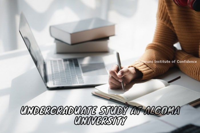 Pursue Undergraduate Degrees at Algoma University with Neelaruns Institute, Coimbatore - A student studying and taking notes from a laptop, representing the academic support for university preparation offered by Neelaruns Institute.